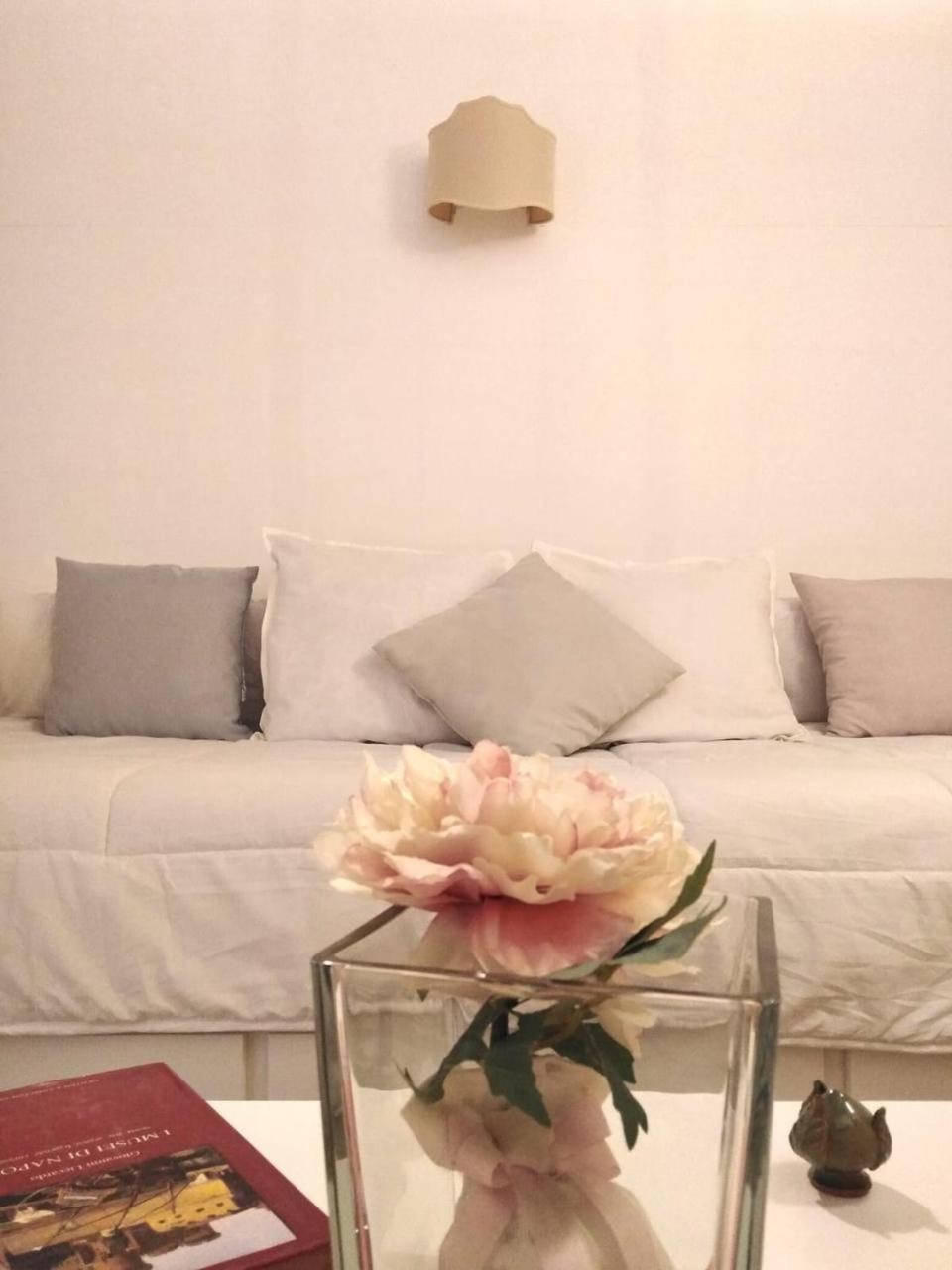 Little Toledo Apartment